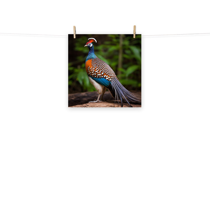 Pheasant Photo paper poster - PosterfyAI.com
