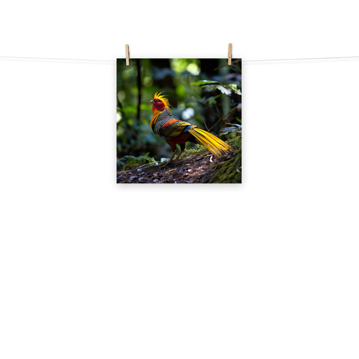 Pheasant Photo paper poster - PosterfyAI.com