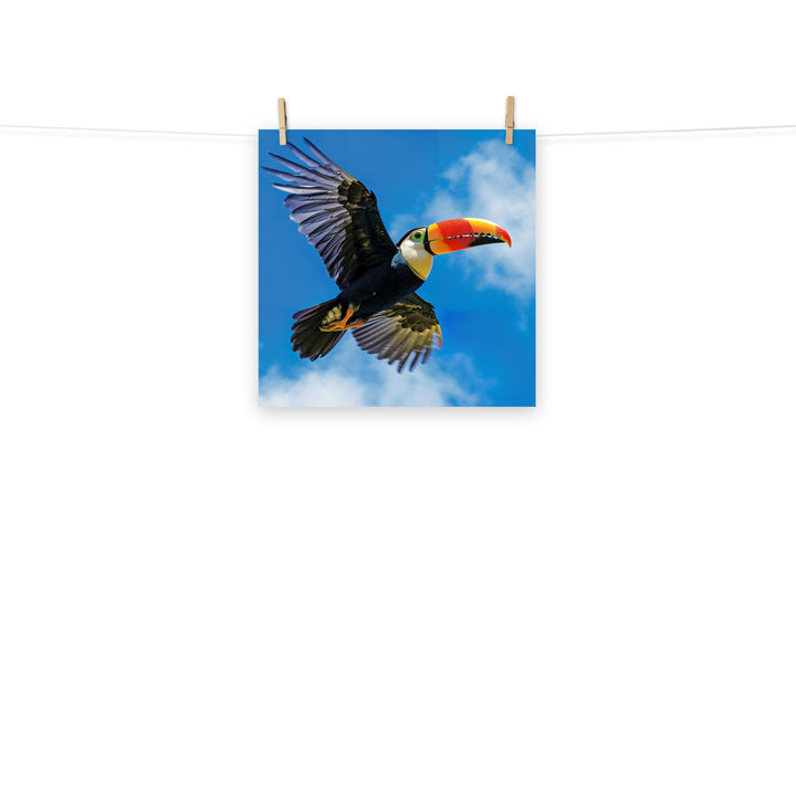Toucan Photo paper poster - PosterfyAI.com