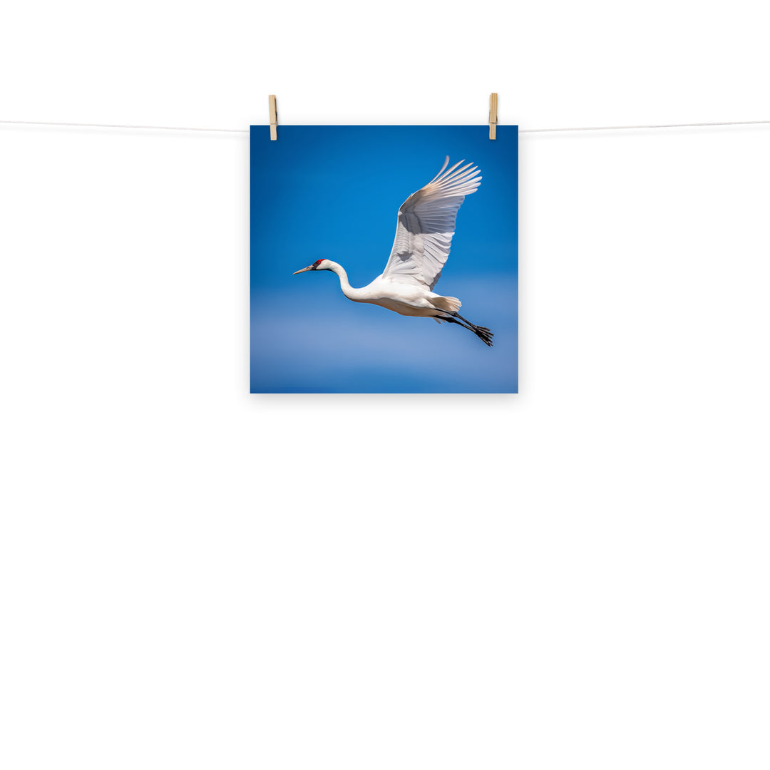 Crane Photo paper poster - PosterfyAI.com