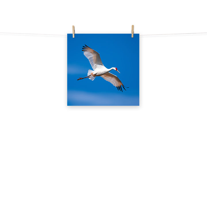 Crane Photo paper poster - PosterfyAI.com