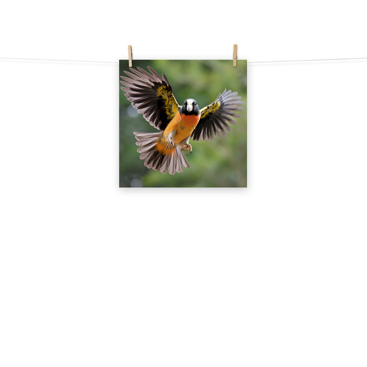 Caique Photo paper poster - PosterfyAI.com