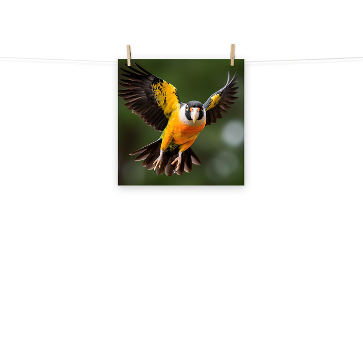 Caique Photo paper poster - PosterfyAI.com