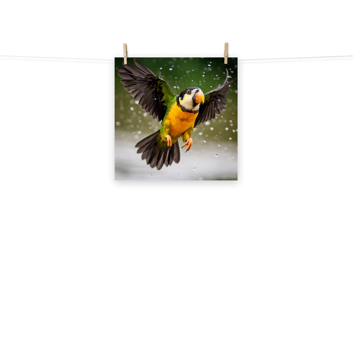Caique Photo paper poster - PosterfyAI.com