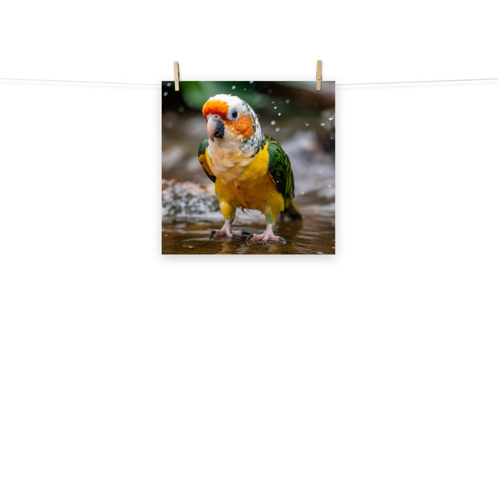 Caique Photo paper poster - PosterfyAI.com