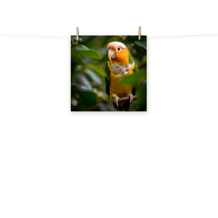 Caique Photo paper poster - PosterfyAI.com