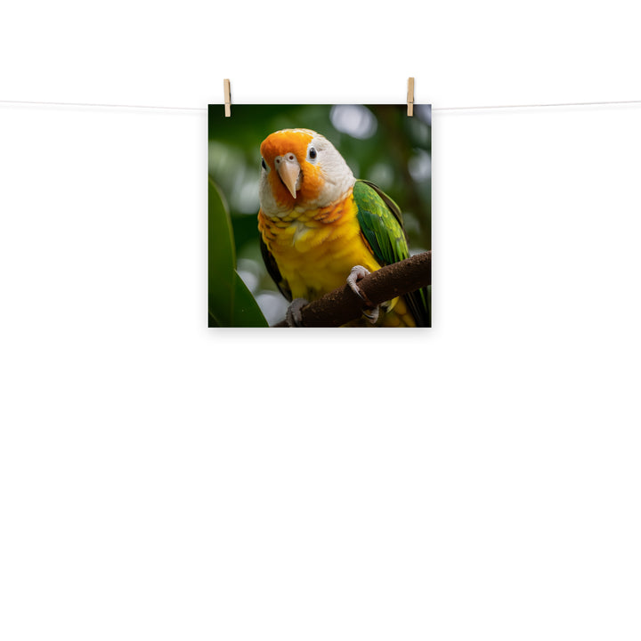 Caique Photo paper poster - PosterfyAI.com