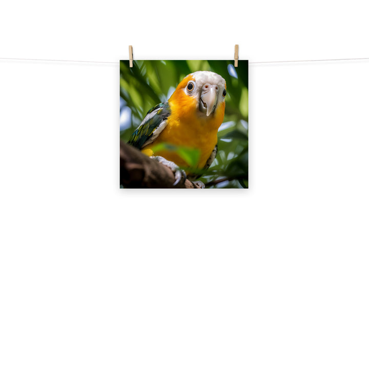 Caique Photo paper poster - PosterfyAI.com