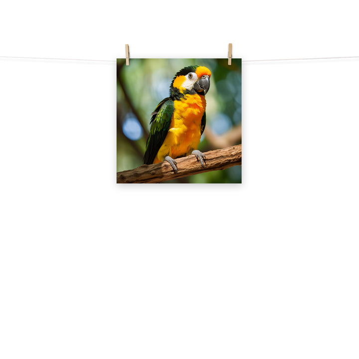 Caique Photo paper poster - PosterfyAI.com