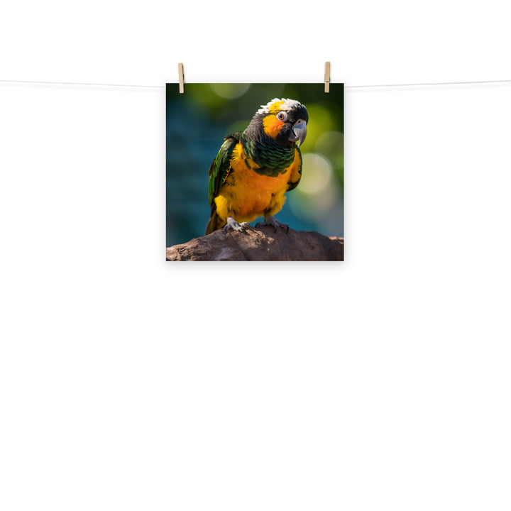 Caique Photo paper poster - PosterfyAI.com
