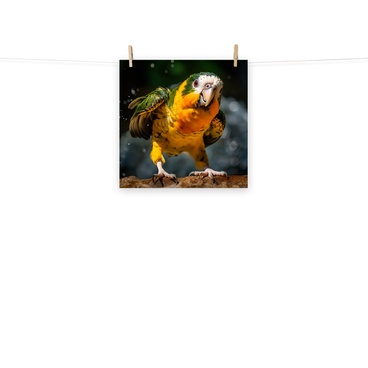 Caique Photo paper poster - PosterfyAI.com