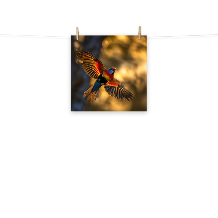 Rosella Photo paper poster - PosterfyAI.com