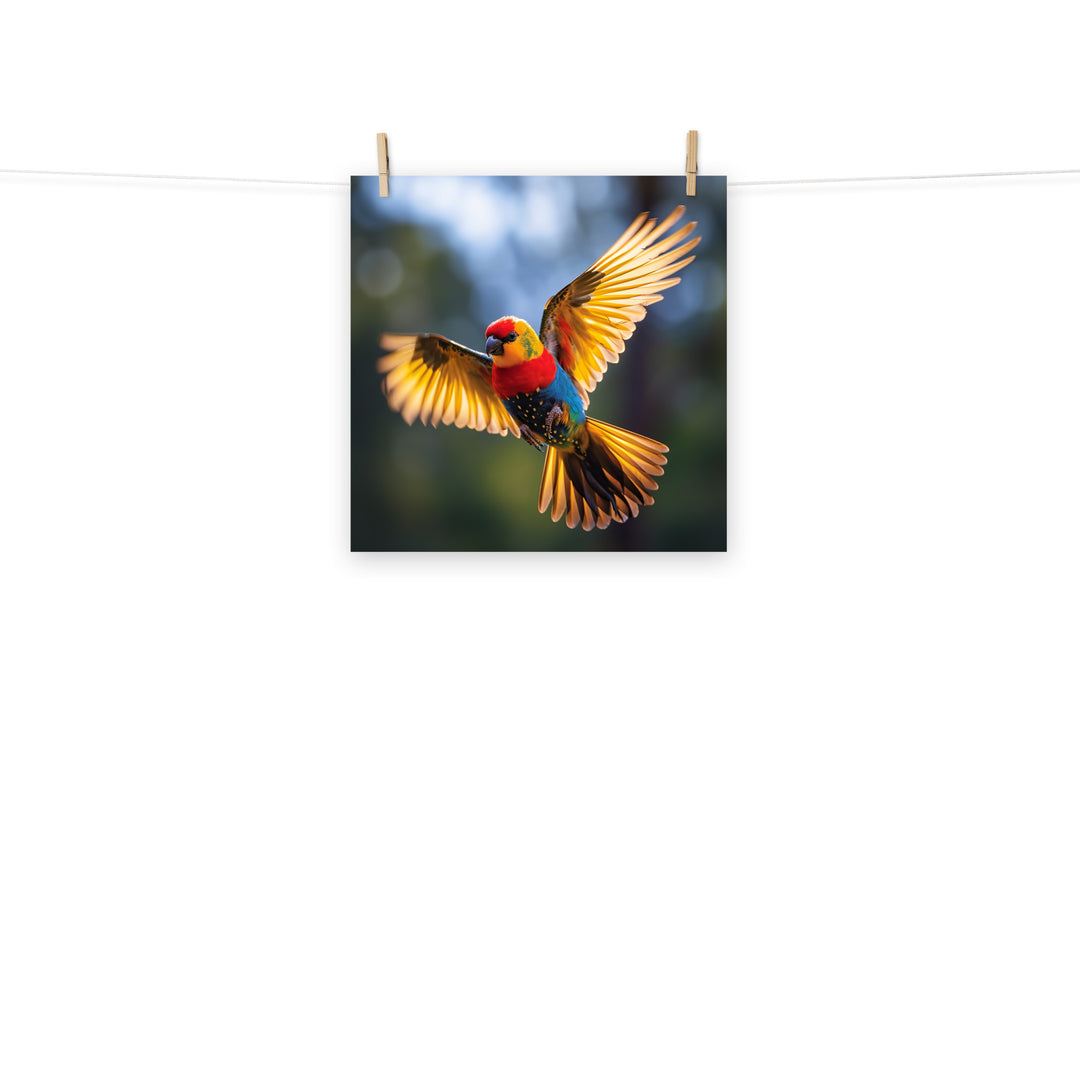 Rosella Photo paper poster - PosterfyAI.com