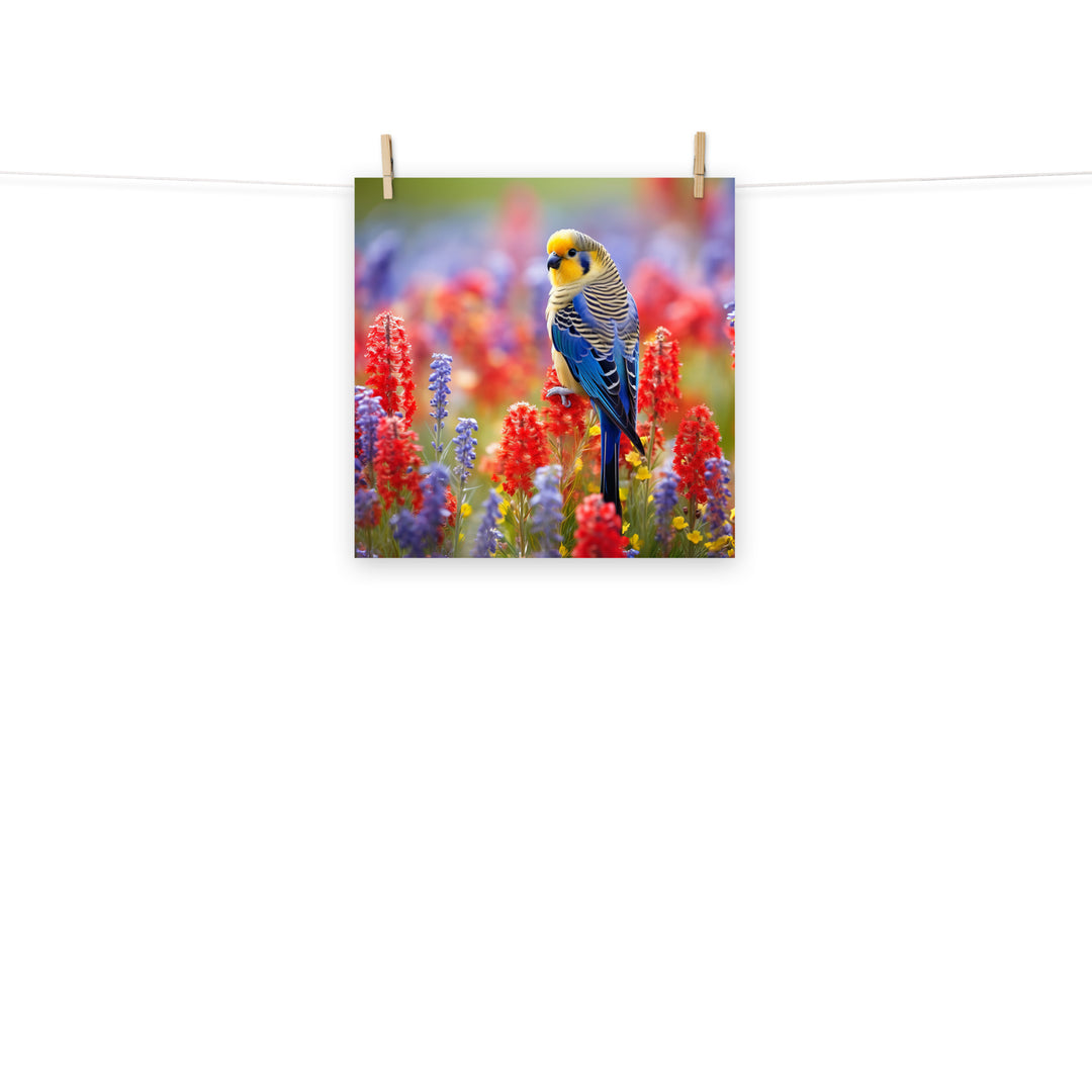 Rosella Photo paper poster - PosterfyAI.com