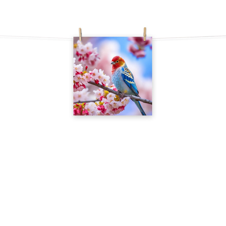Rosella Photo paper poster - PosterfyAI.com
