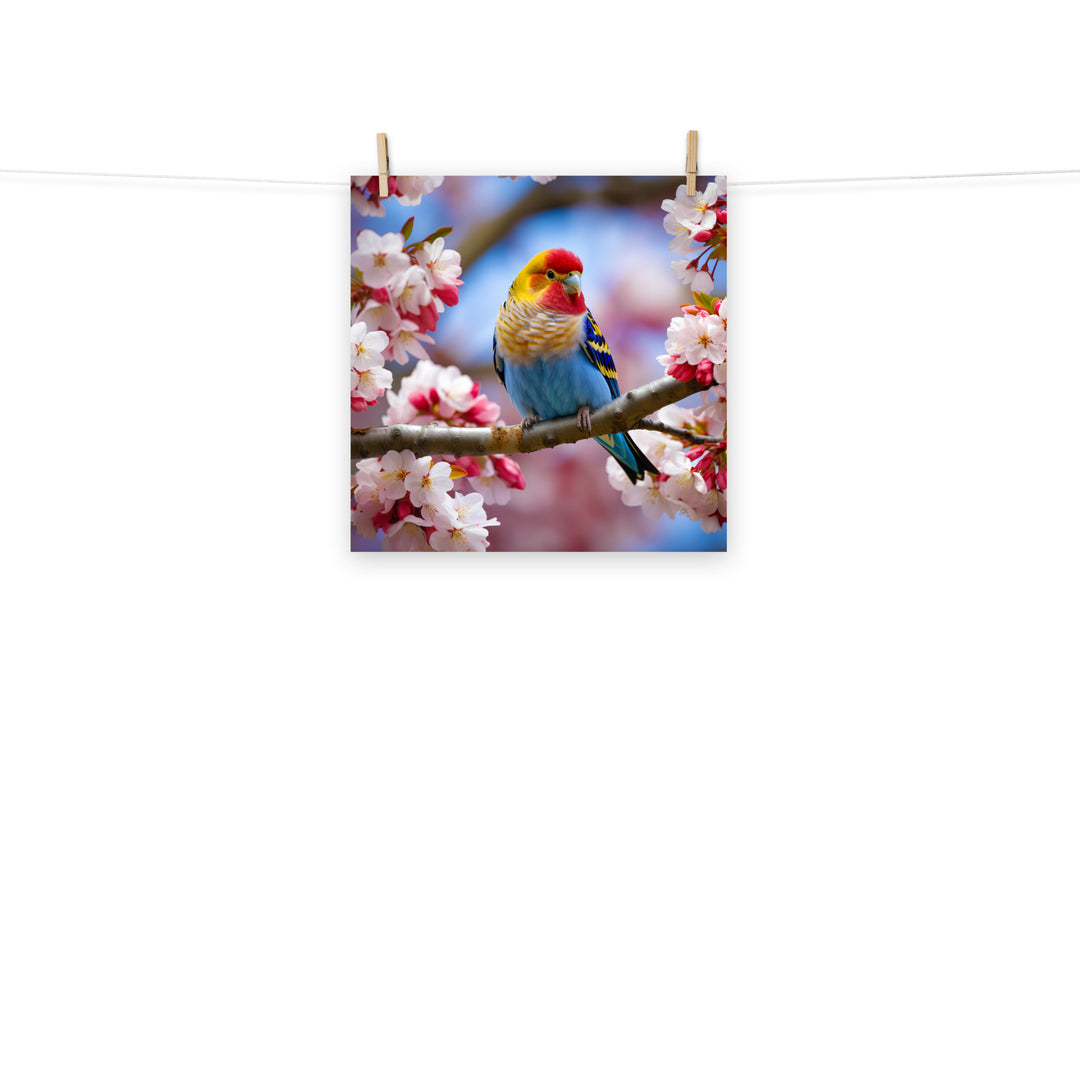 Rosella Photo paper poster - PosterfyAI.com