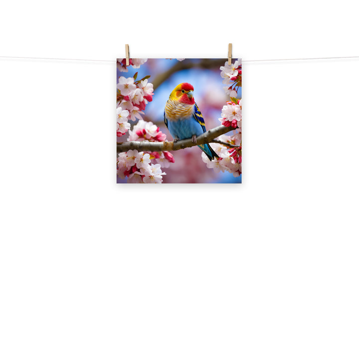 Rosella Photo paper poster - PosterfyAI.com