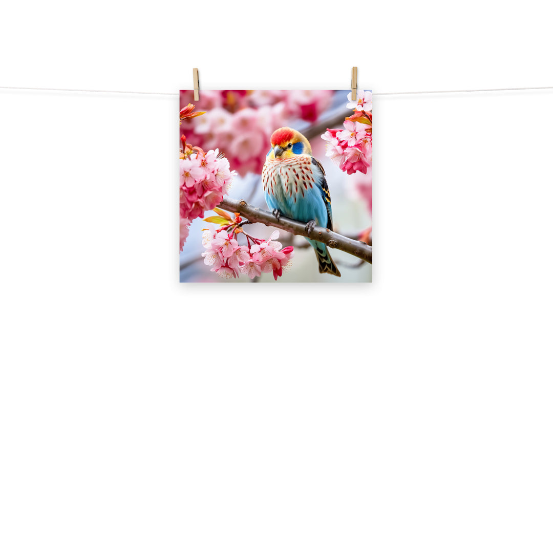 Rosella Photo paper poster - PosterfyAI.com