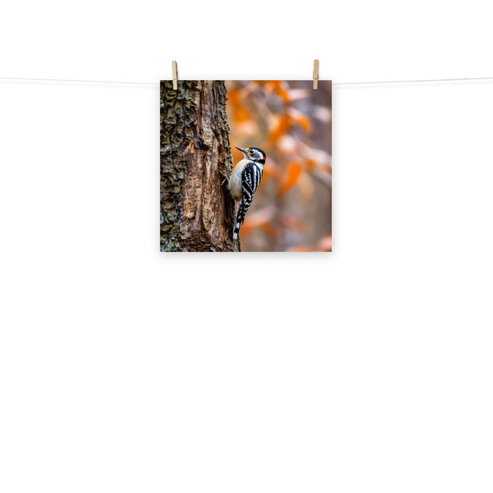 Woodpecker Photo paper poster - PosterfyAI.com