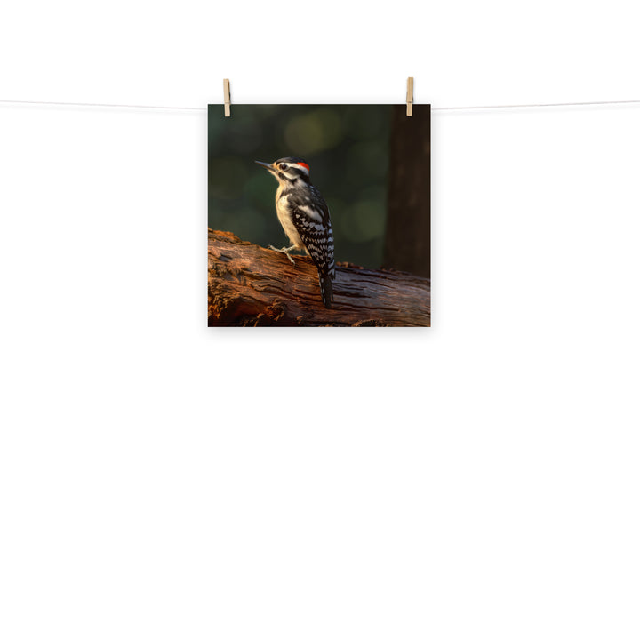 Woodpecker Photo paper poster - PosterfyAI.com