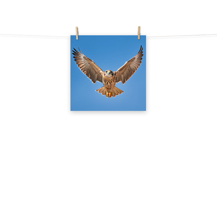 Falcon Photo paper poster - PosterfyAI.com