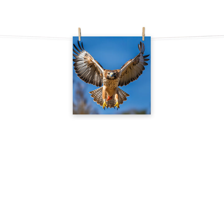 Hawk Photo paper poster - PosterfyAI.com