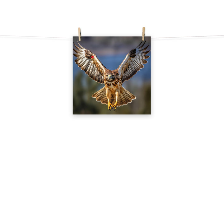 Hawk Photo paper poster - PosterfyAI.com