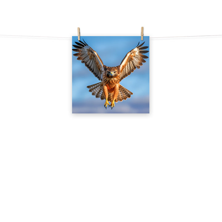 Hawk Photo paper poster - PosterfyAI.com