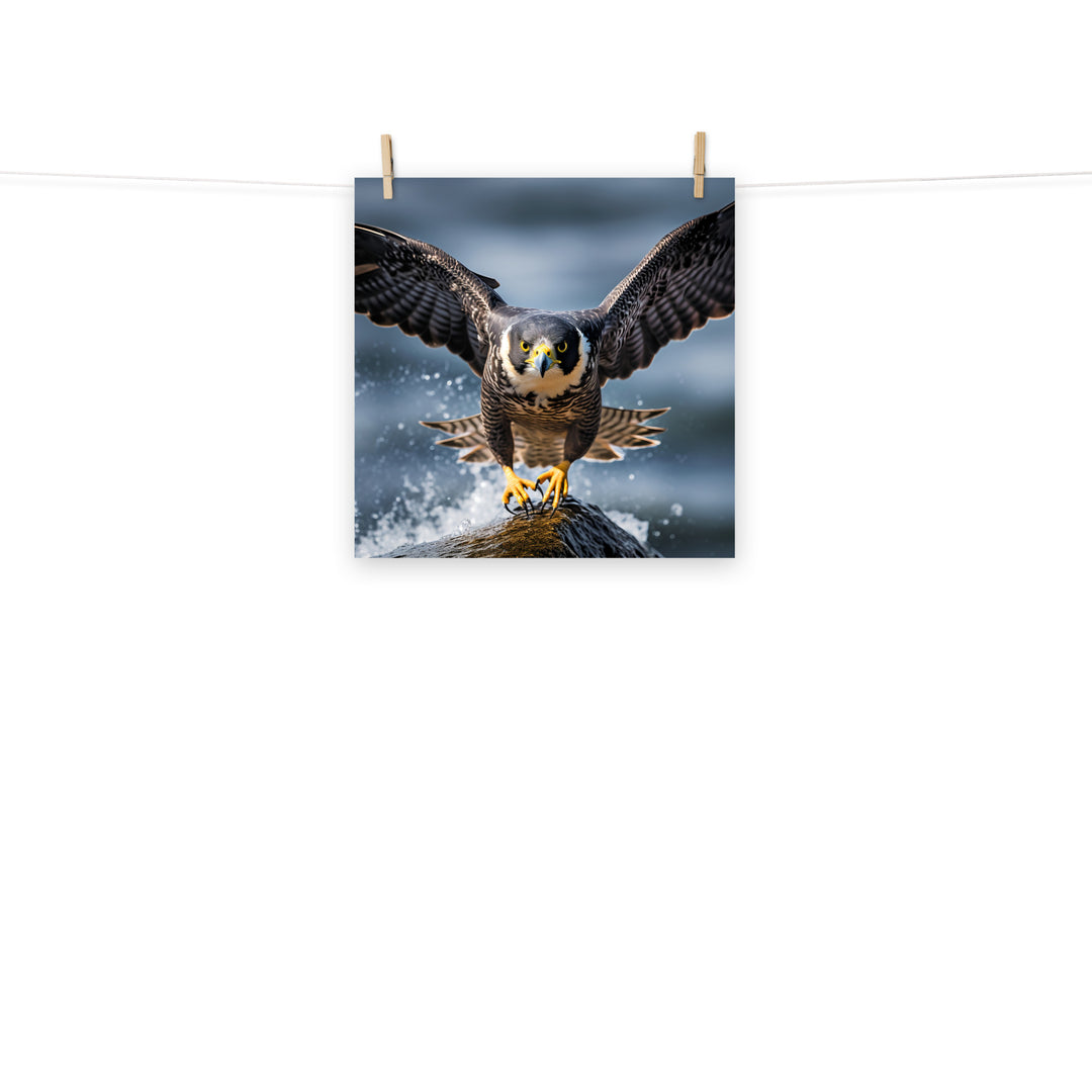 Falcon Photo paper poster - PosterfyAI.com