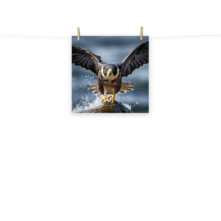 Falcon Photo paper poster - PosterfyAI.com