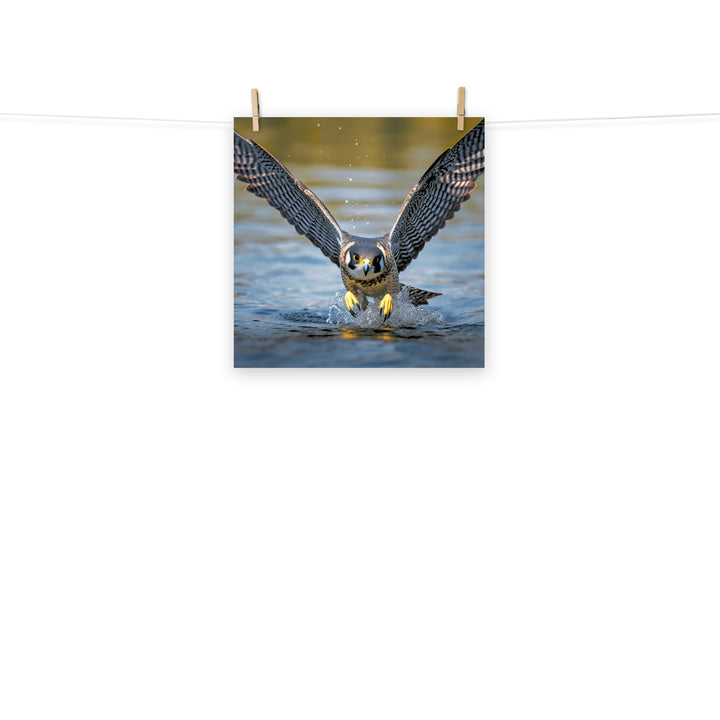 Falcon Photo paper poster - PosterfyAI.com