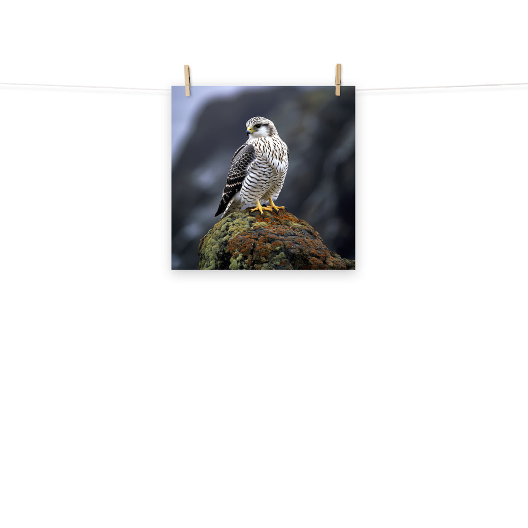 Gyrfalcon Photo paper poster - PosterfyAI.com