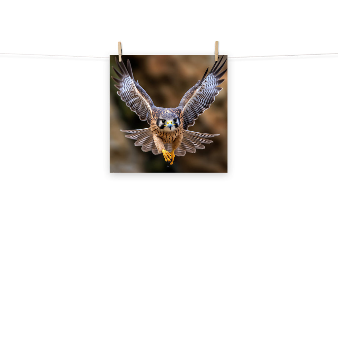 Falcon Photo paper poster - PosterfyAI.com