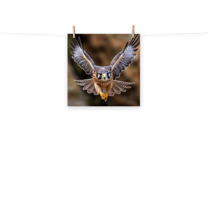 Falcon Photo paper poster - PosterfyAI.com