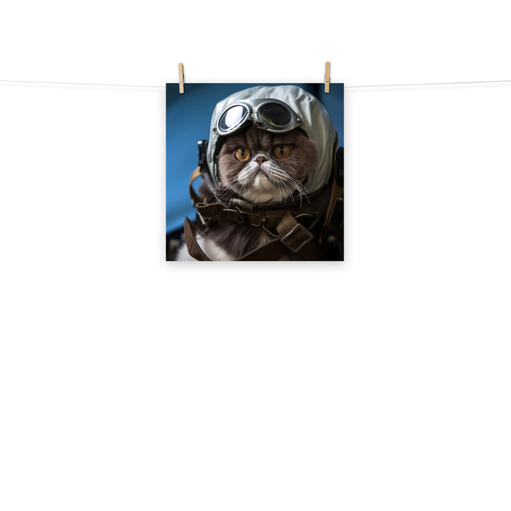 Exotic Shorthair Pilot Photo paper poster - PosterfyAI.com