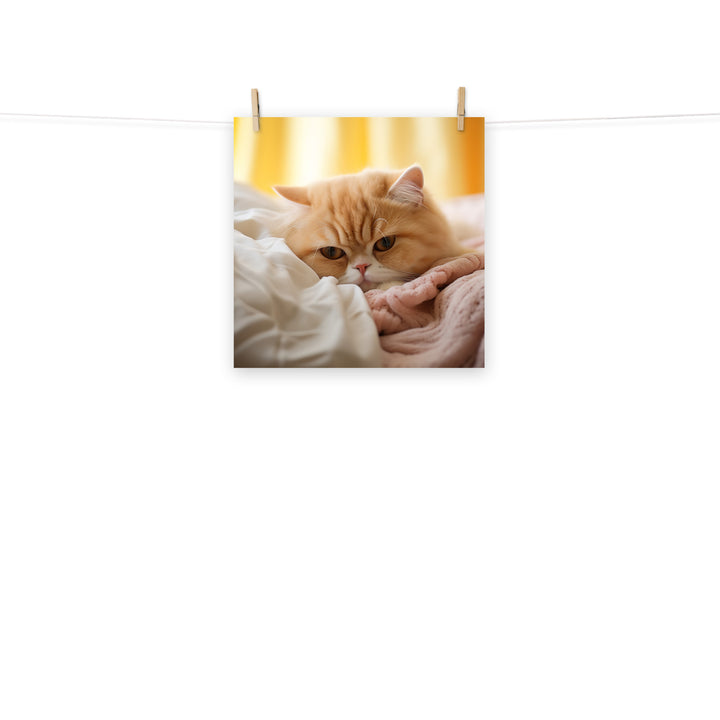 Exotic Shorthair Photo paper poster - PosterfyAI.com