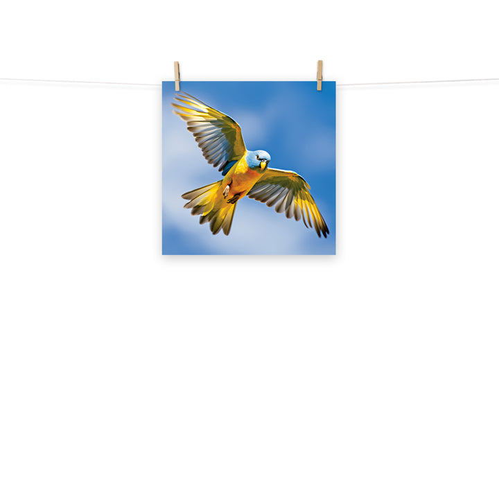Parakeet Photo paper poster - PosterfyAI.com