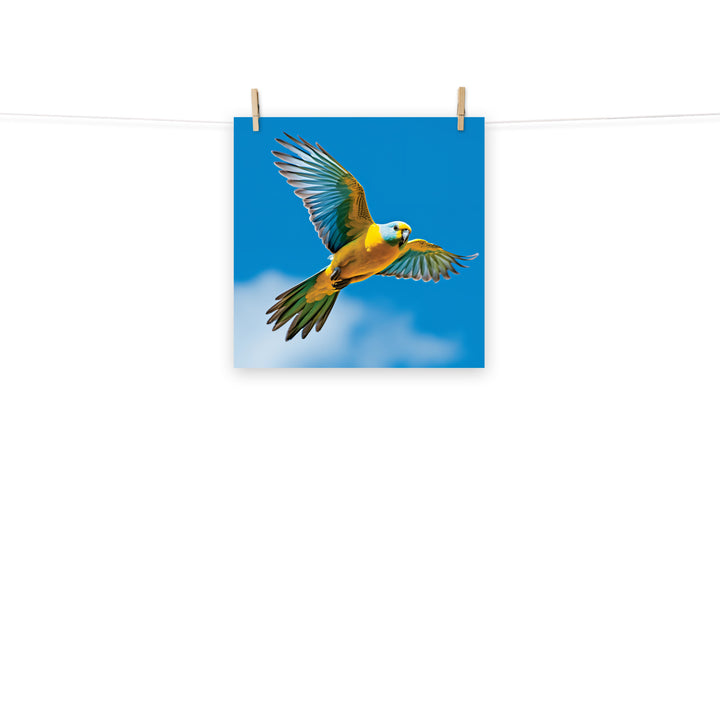 Parakeet Photo paper poster - PosterfyAI.com