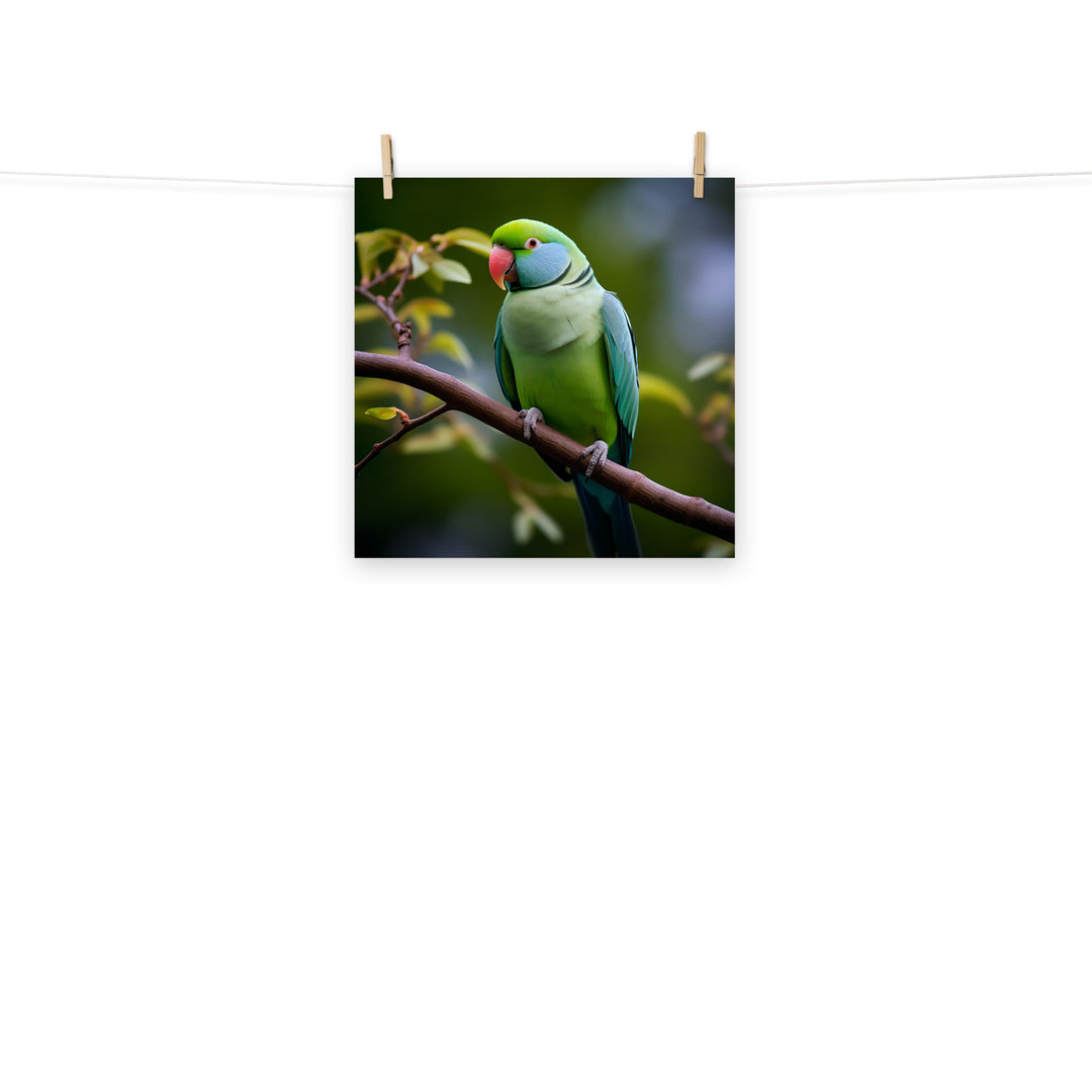 Parakeet Photo paper poster - PosterfyAI.com