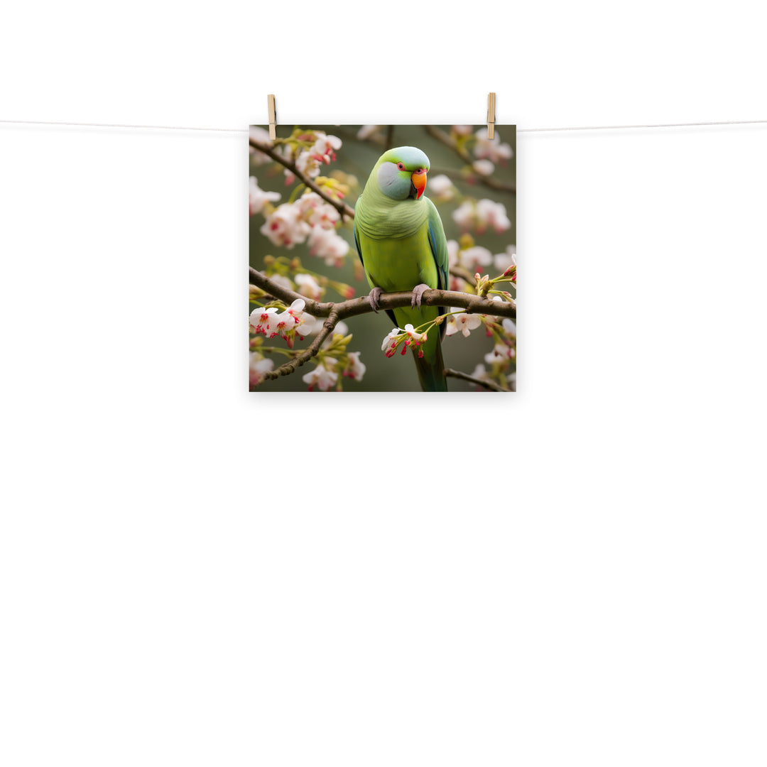 Parakeet Photo paper poster - PosterfyAI.com