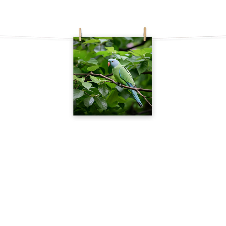 Parakeet Photo paper poster - PosterfyAI.com