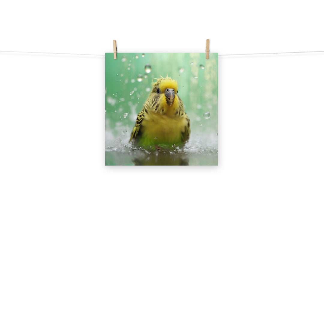 Budgerigar Photo paper poster - PosterfyAI.com