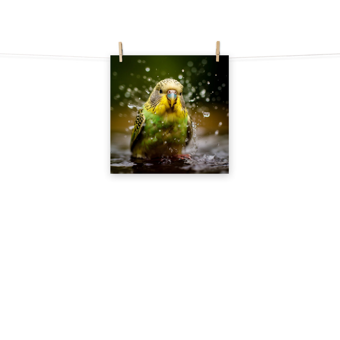 Budgerigar Photo paper poster - PosterfyAI.com