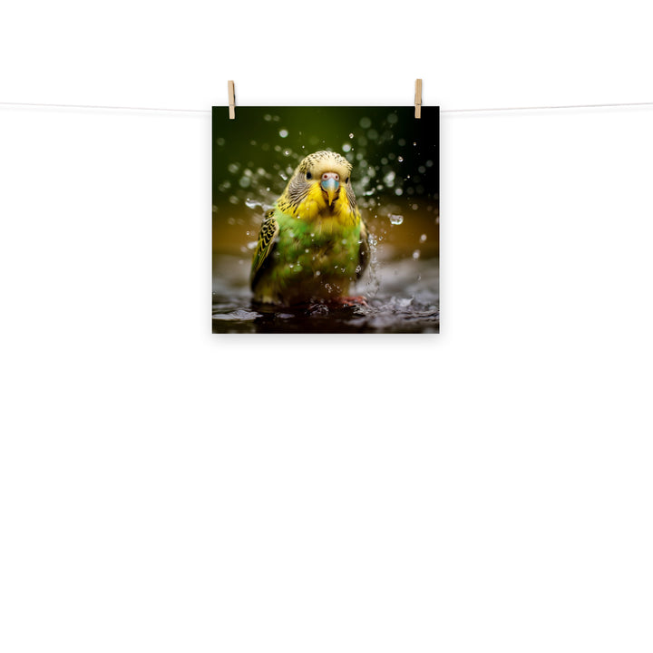 Budgerigar Photo paper poster - PosterfyAI.com