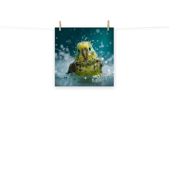 Budgerigar Photo paper poster - PosterfyAI.com