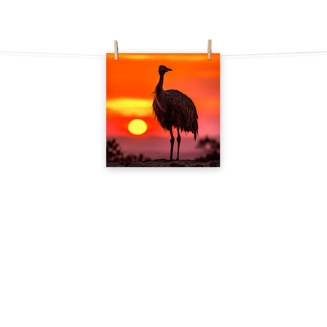 Emu Photo paper poster - PosterfyAI.com