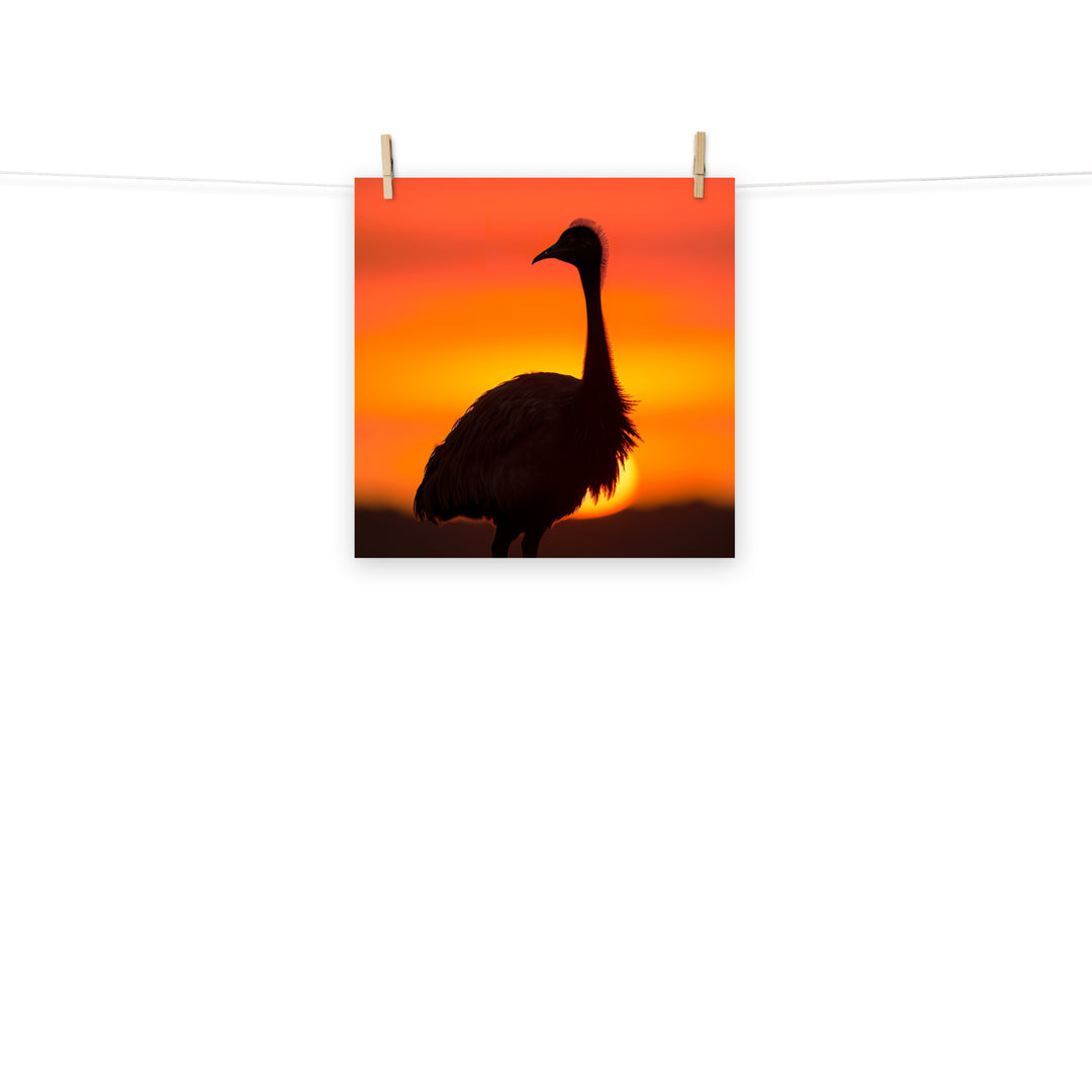 Emu Photo paper poster - PosterfyAI.com