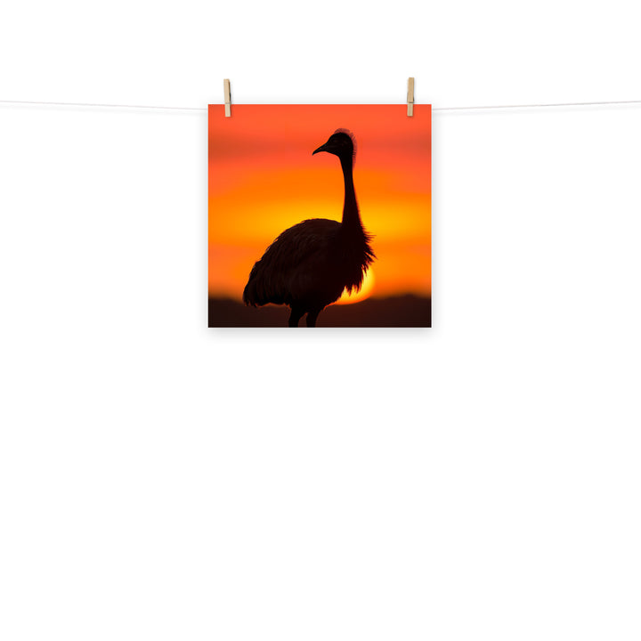 Emu Photo paper poster - PosterfyAI.com