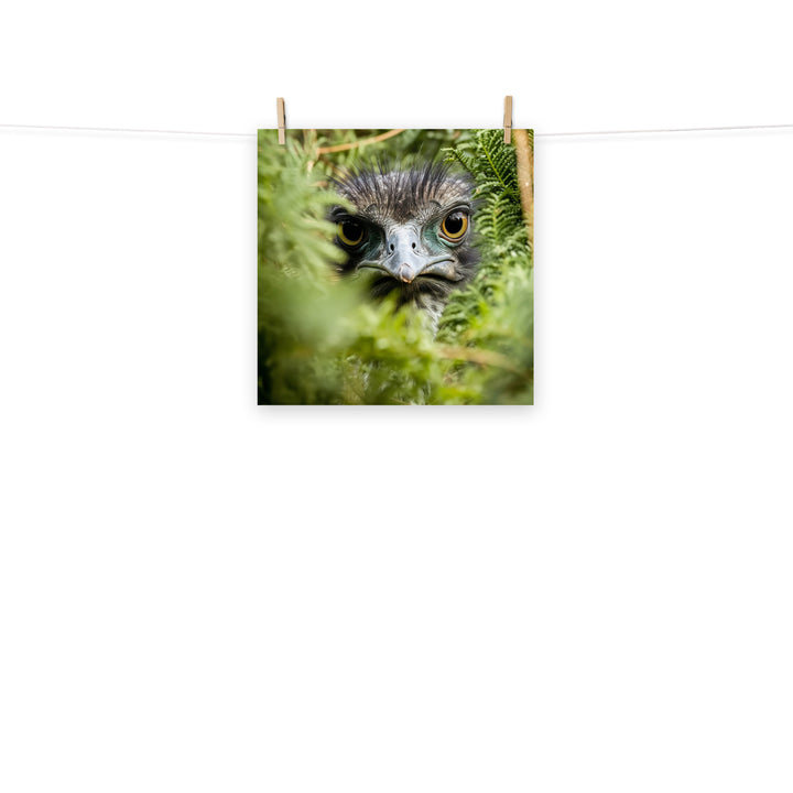 Emu Photo paper poster - PosterfyAI.com