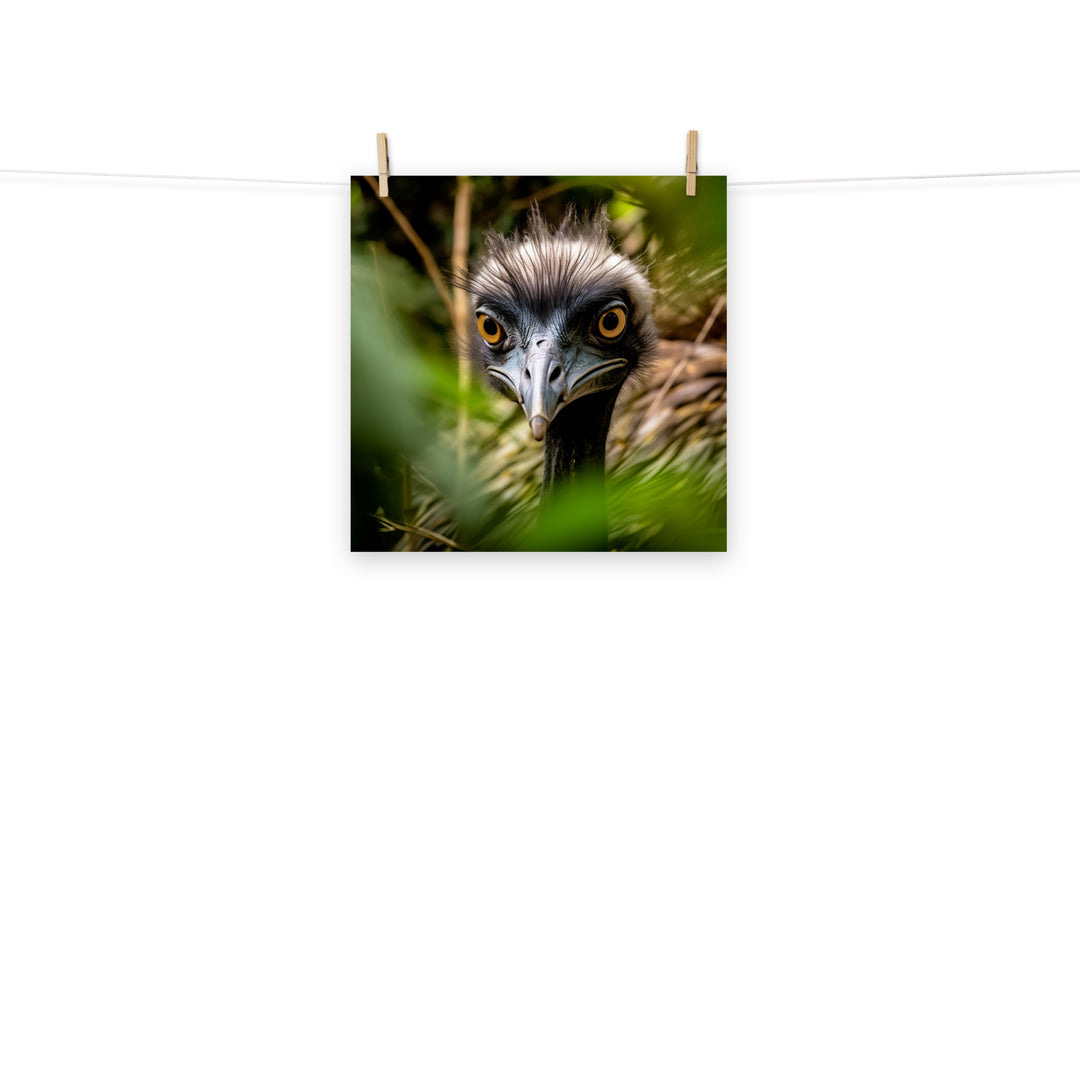 Emu Photo paper poster - PosterfyAI.com